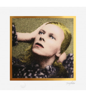 Terry Pastor - Hunky Dory...