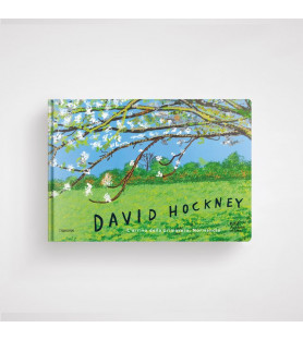 David Hockney - L'arrivo...
